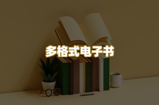 多格式电子书